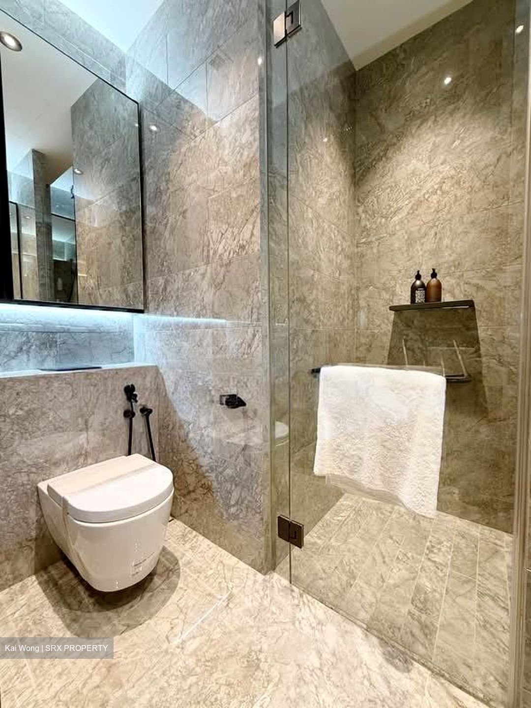 Jervois Privé (D10), Apartment #539625141
